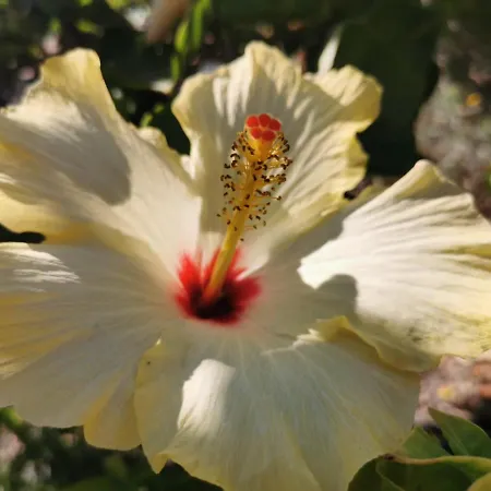 Сasa de vacaciones Anfora Blu