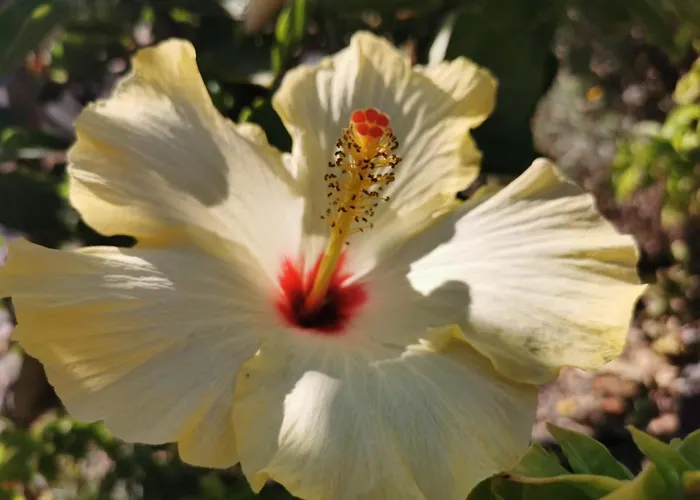 Casa vacanze Anfora Blu